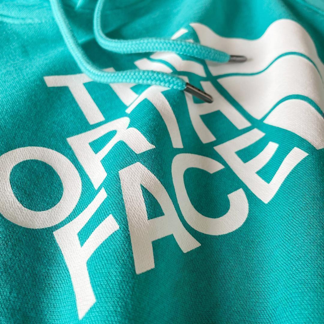 ノースフェイス パーカー メンズ 海外L 日本LL相当 ブルー 新品 apHD