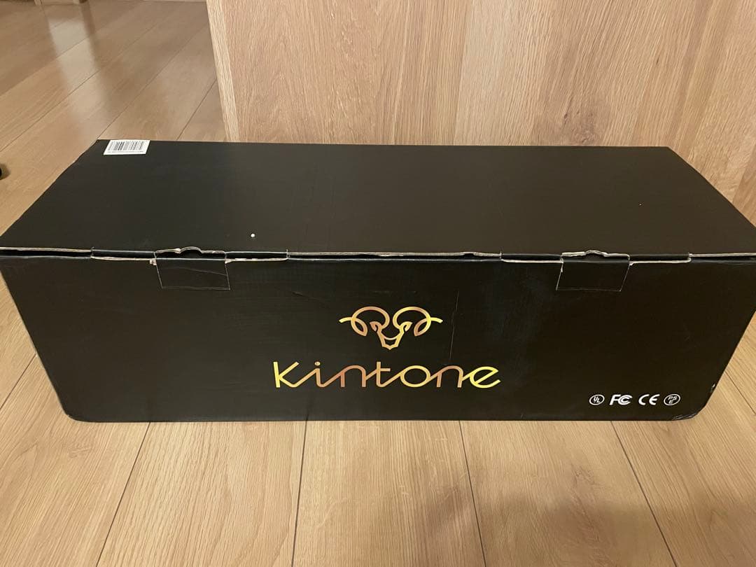 Kintone キントーン　クラシックDO1D セグウェイ　ブラック　新品