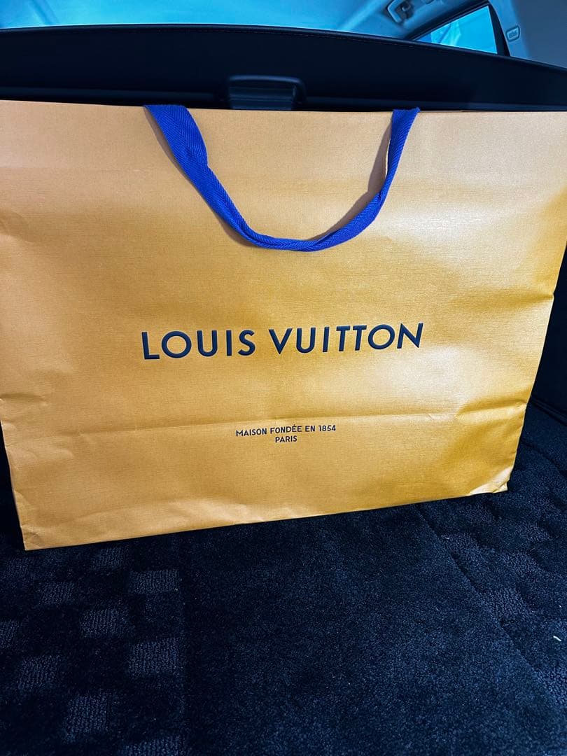 超美品■ルイヴィトン■ダミエ ペガス 55 M23294 レザー スーツケース