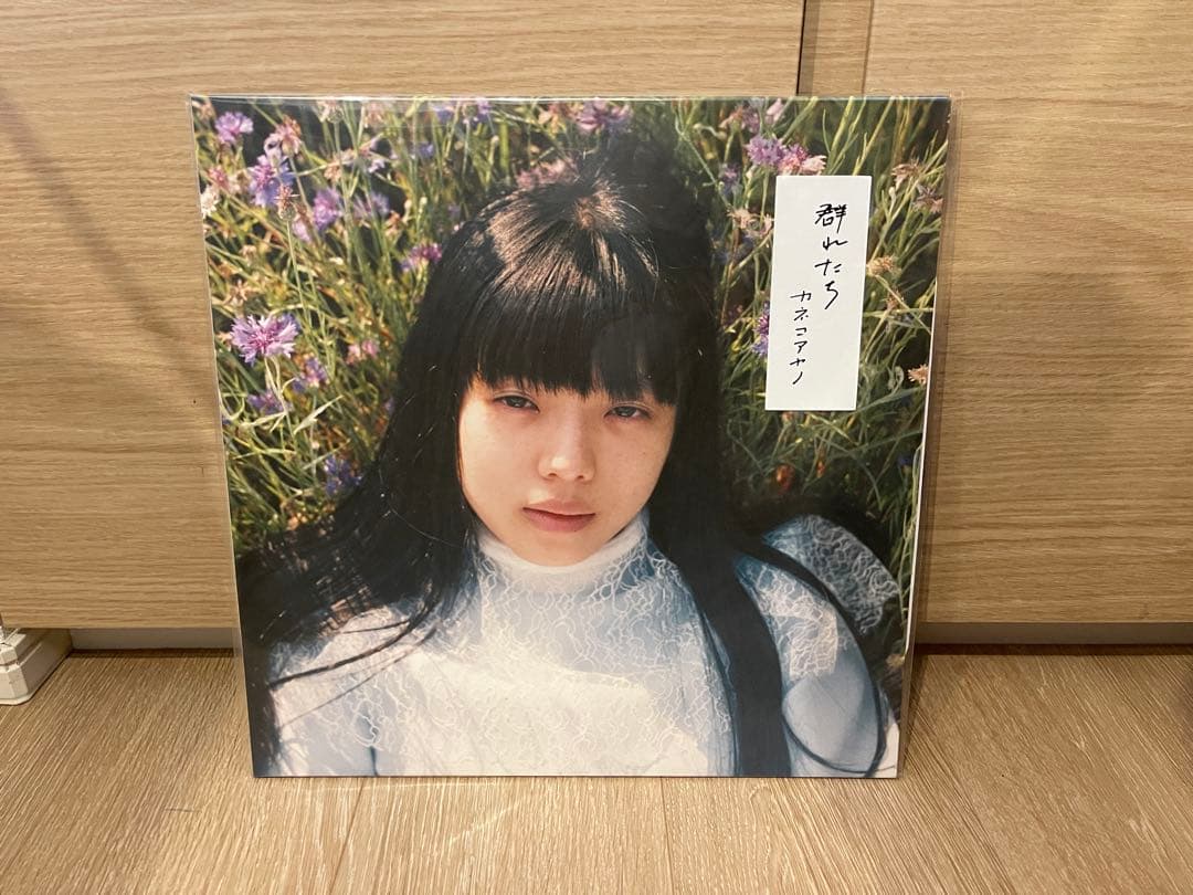 カネコアヤノ 群れたち レコード アナログ 美品 500枚 限定 レア