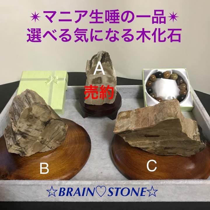 b★特選オンリー１品石★木の化石☆【ペトリファイドウッド珪化木✴︎原石】♡