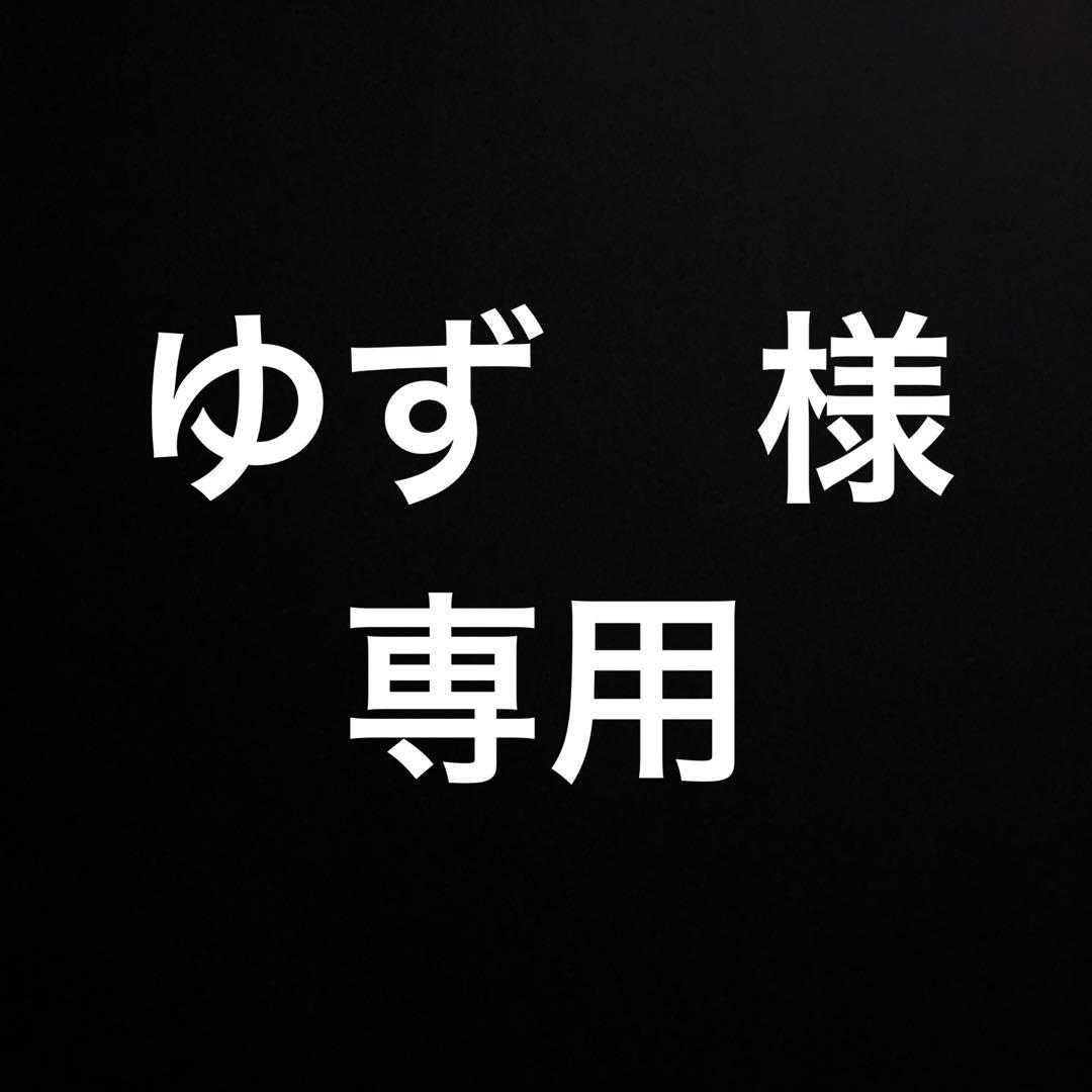 Anker 535 512Wh ポータブル電源 リン酸鉄 災害　車中泊