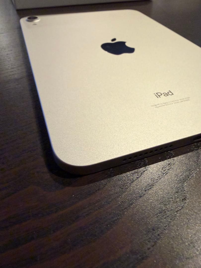 「楓」iPad mini (第6世代) 64GB