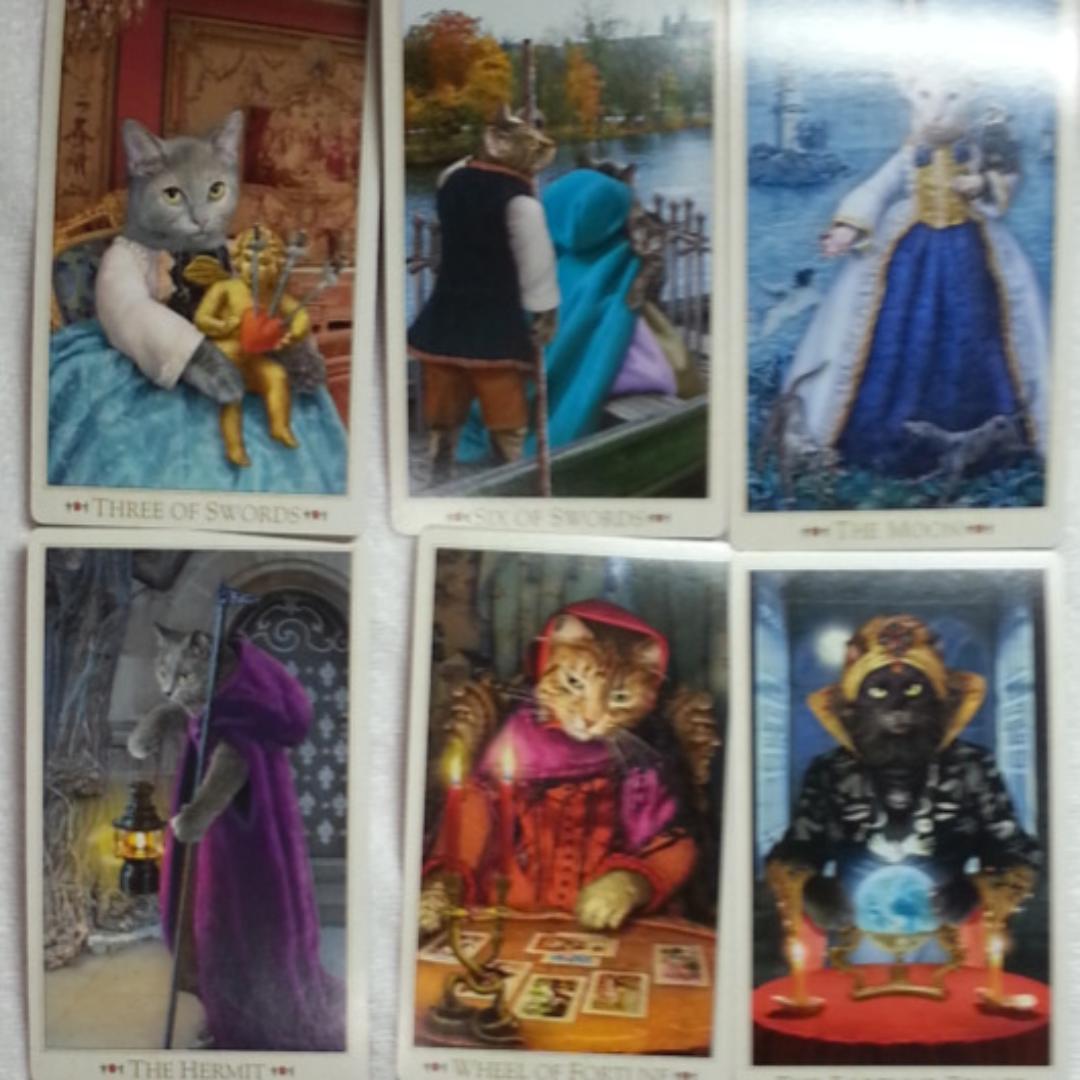 【空ちゃんママ】【タロット】BOHEMIAN CATS TAROT