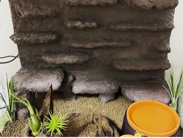 爬虫類シェルター バックボード レイアウト用品作成