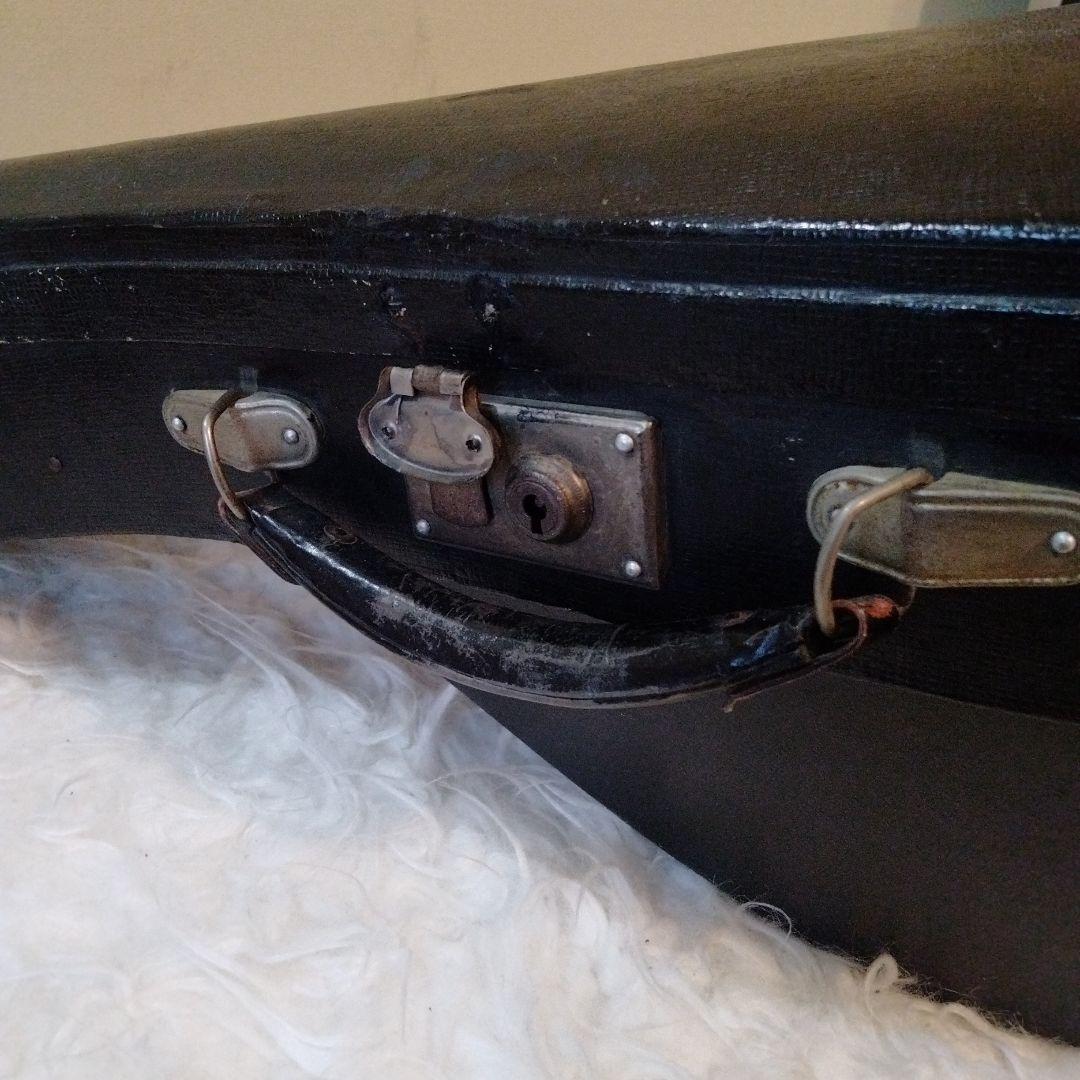 Suzuki マンドリン M-30