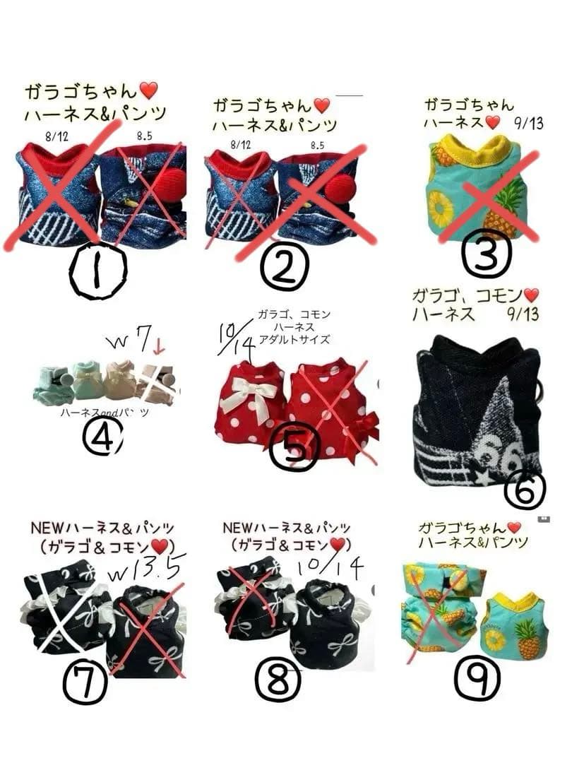 試作品ハーネス★ショウガラゴ…