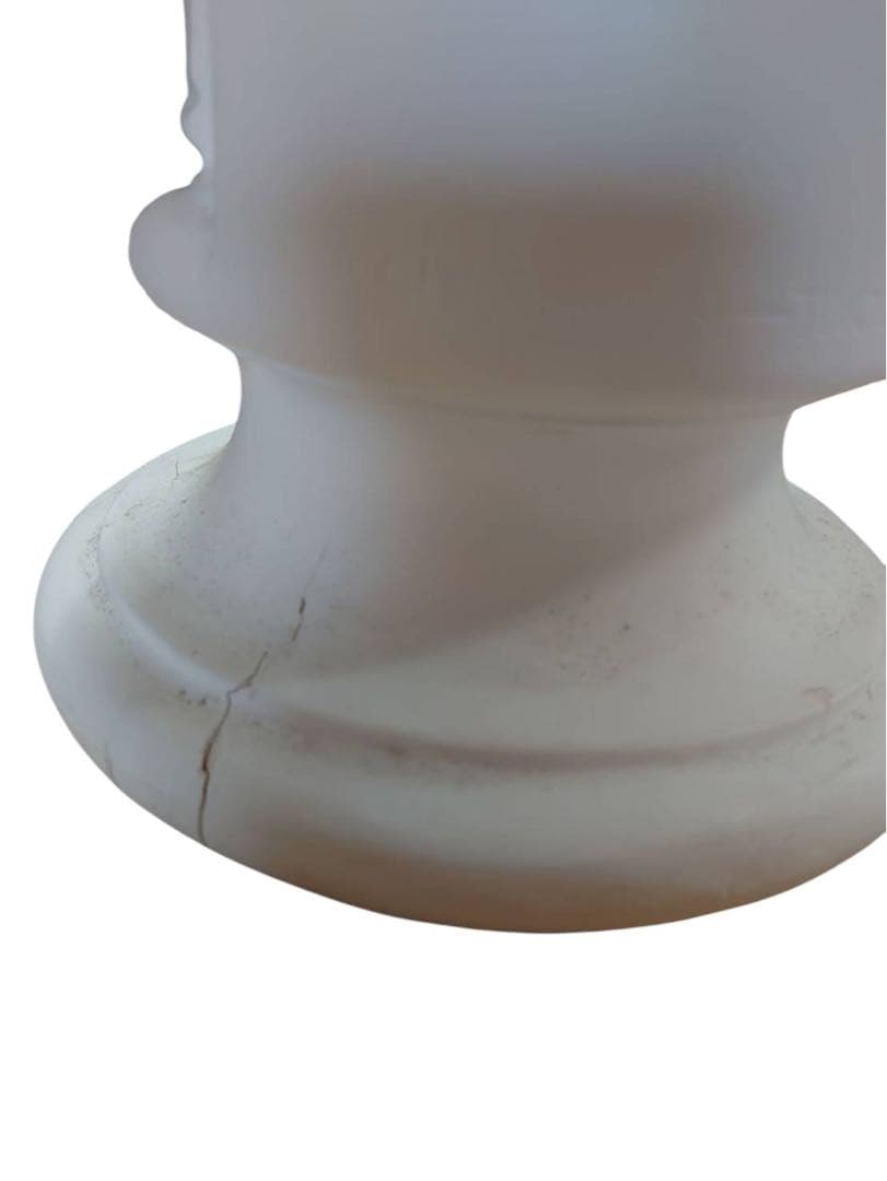 パジャント ベレニケ 石膏像 胸像 デッサン 彫刻