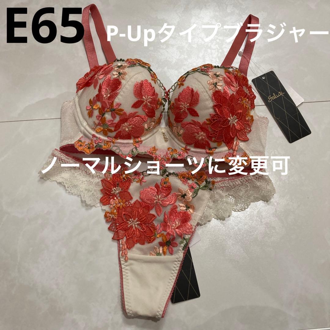 サルート　81G E65 ソング　M BE