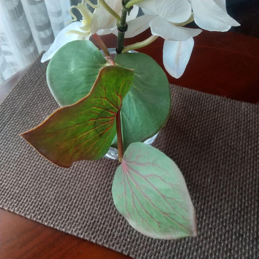 エリミオロバ 胡蝶蘭　造花 アレンジメント