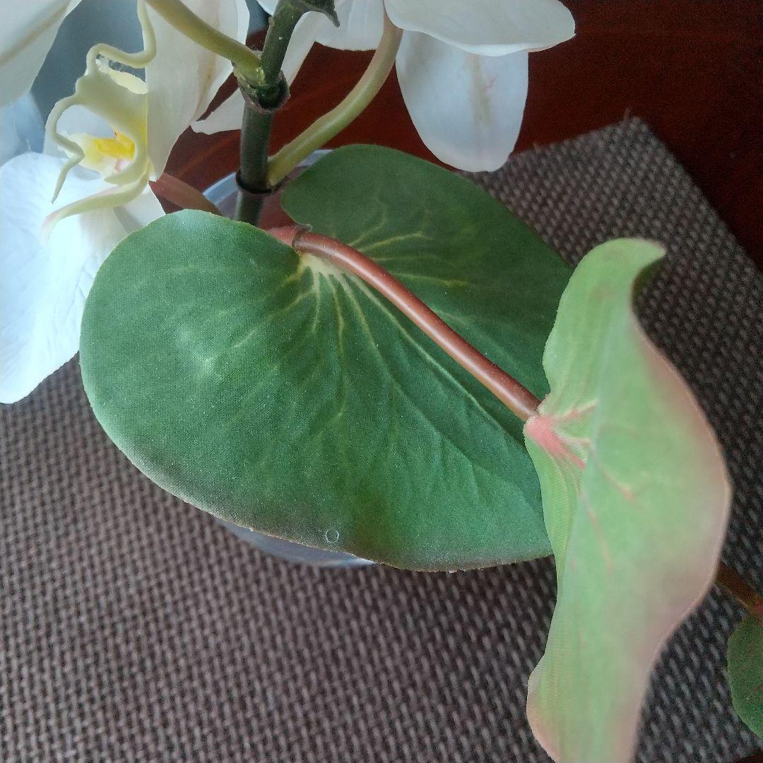 エリミオロバ 胡蝶蘭　造花 アレンジメント