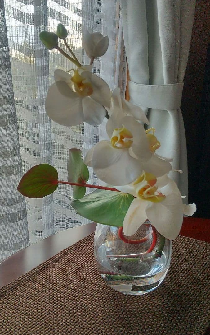 エリミオロバ 胡蝶蘭　造花 アレンジメント