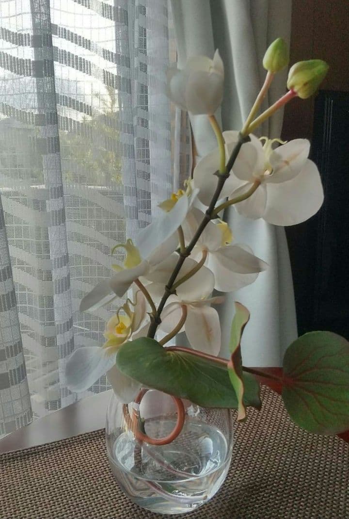 エリミオロバ 胡蝶蘭　造花 アレンジメント