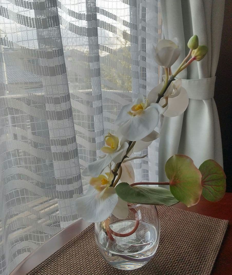 エリミオロバ 胡蝶蘭　造花 アレンジメント