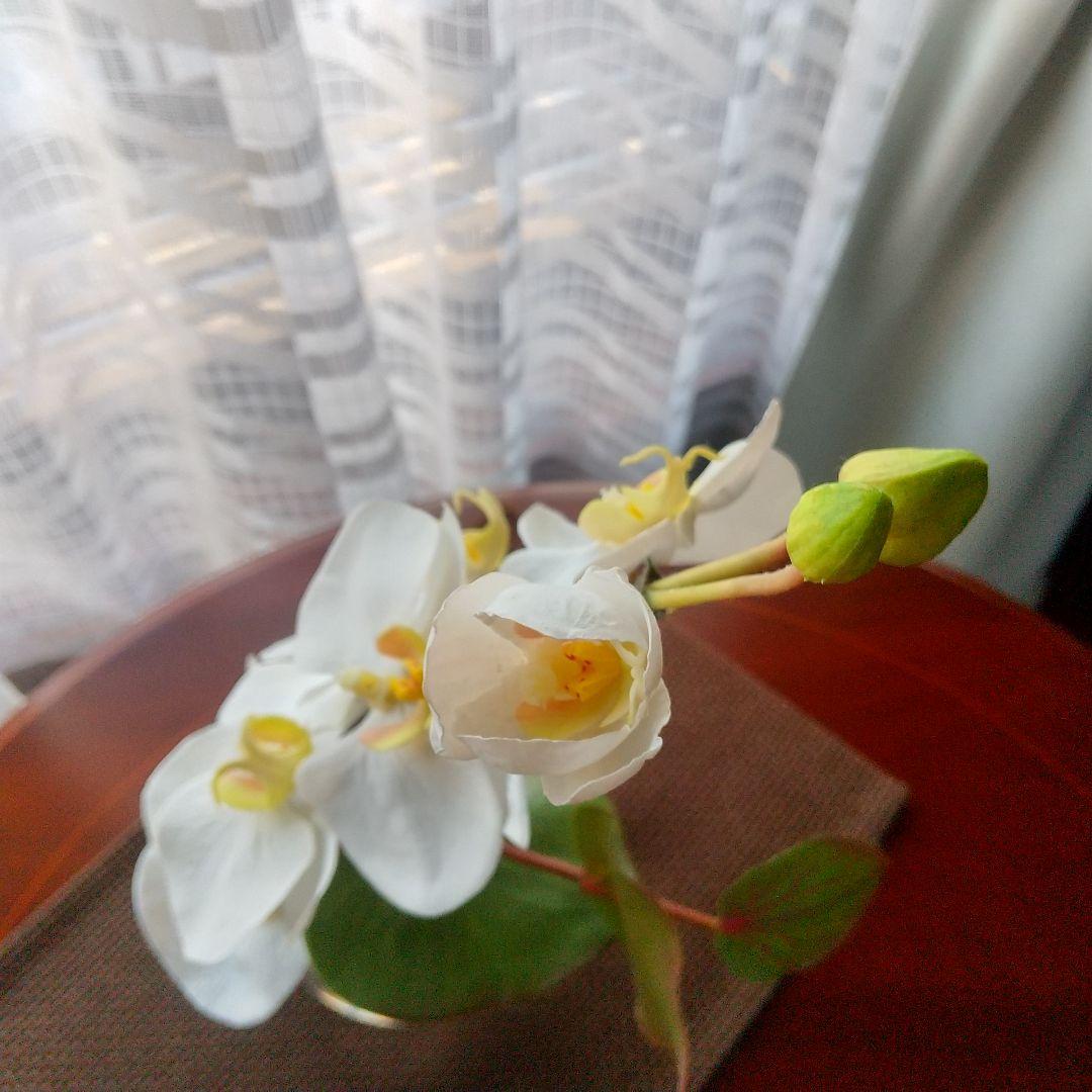 エリミオロバ 胡蝶蘭　造花 アレンジメント
