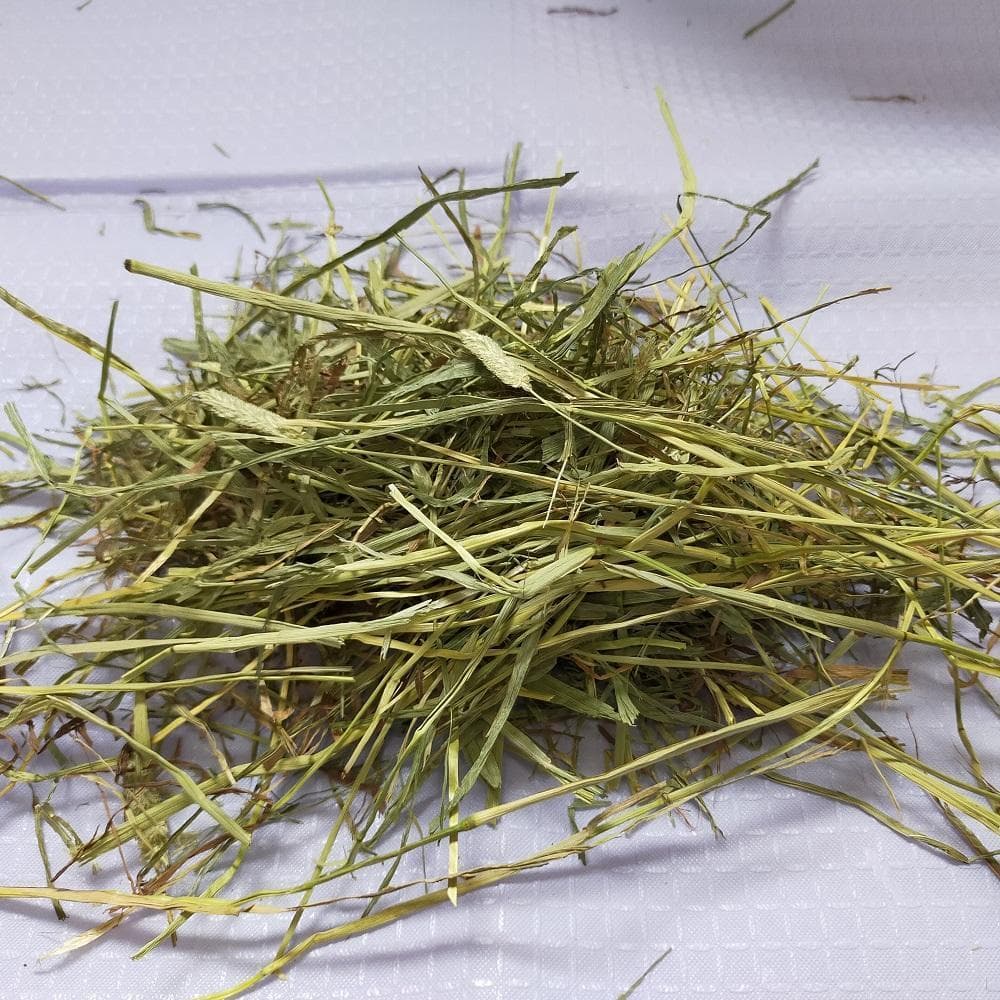 US産 チモシー 50kg ２番刈 ソフトスーパープレミアム