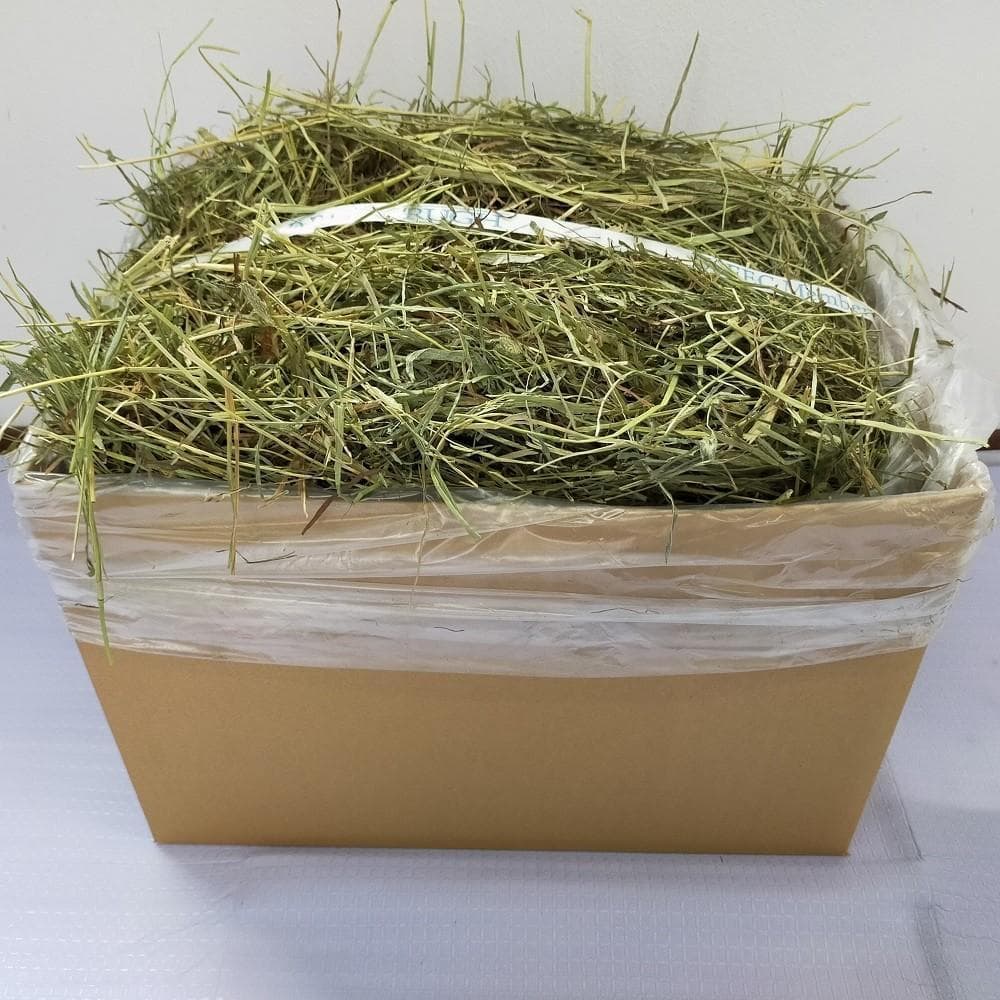 US産 チモシー 50kg ２番刈 ソフトスーパープレミアム