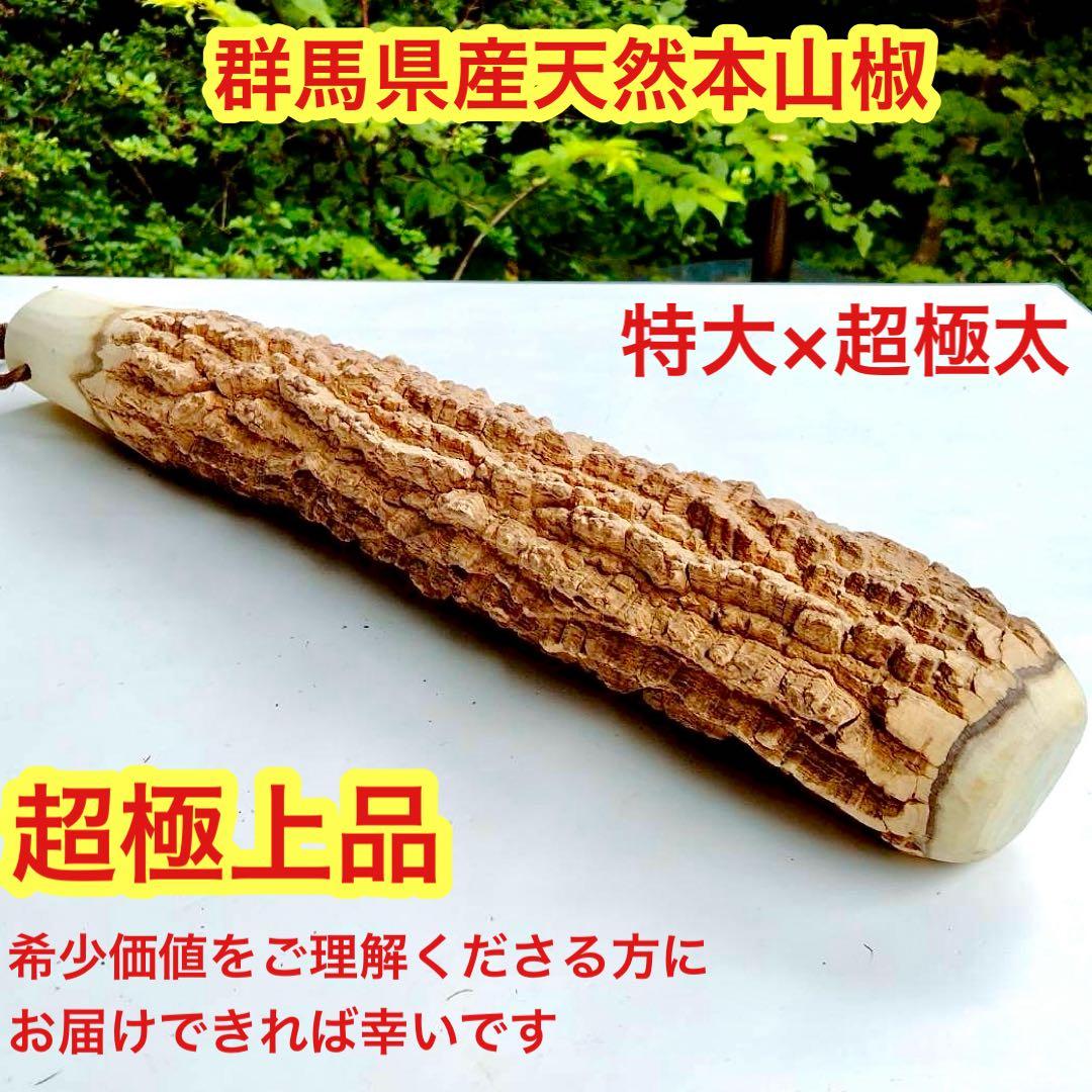 59♦️極上品 特大♦️超極太6.3cm 天然本山椒すりこぎ棒　プロ用　国産山椒の木