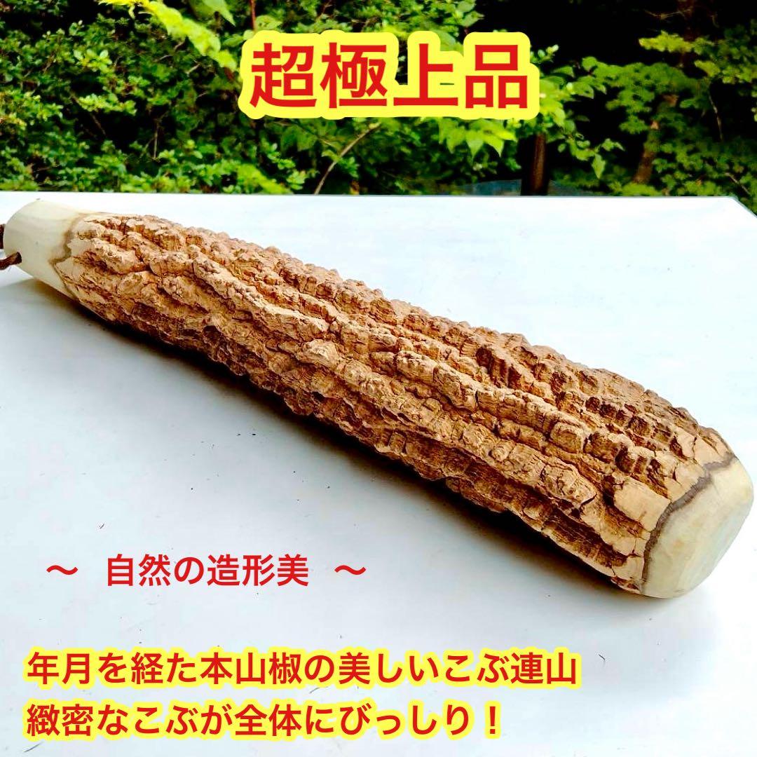 59♦️極上品 特大♦️超極太6.3cm 天然本山椒すりこぎ棒　プロ用　国産山椒の木