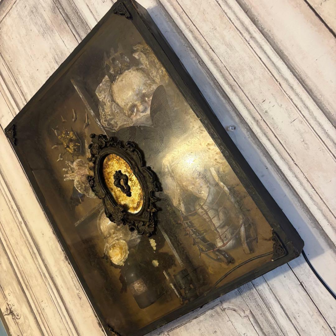 【Special Price】 幼女解剖学オブジェ