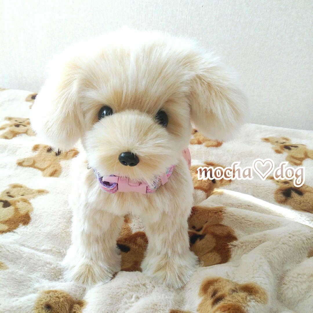 ＊mocha♡dog ＊ mixdog(S)☆ぬいぐるみわんこ 犬　ハンドメイド