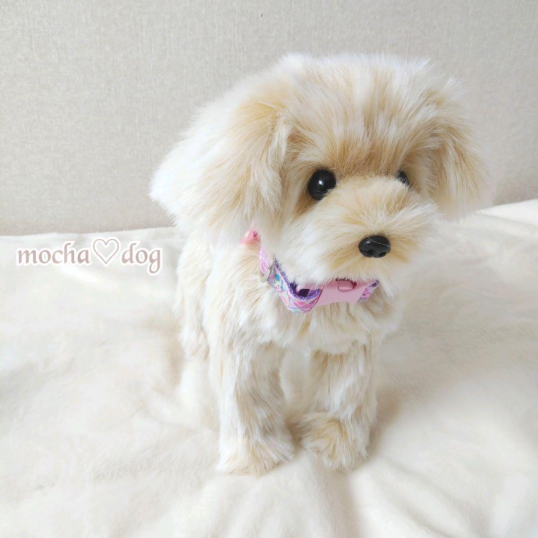 ＊mocha♡dog ＊ mixdog(S)☆ぬいぐるみわんこ 犬　ハンドメイド