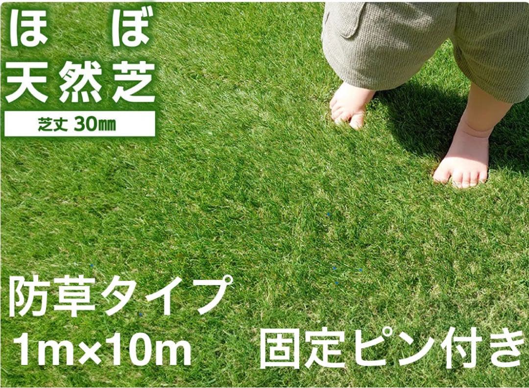 人工芝 防草タイプ 1×10m ロール 芝丈30mm 固定ピン付　ふわふわ
