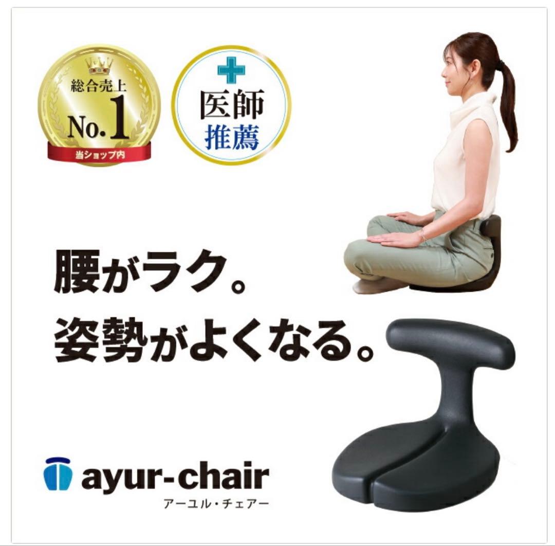 アーユルチェアー ayur-chair (座イス＆座面シートタイプ)