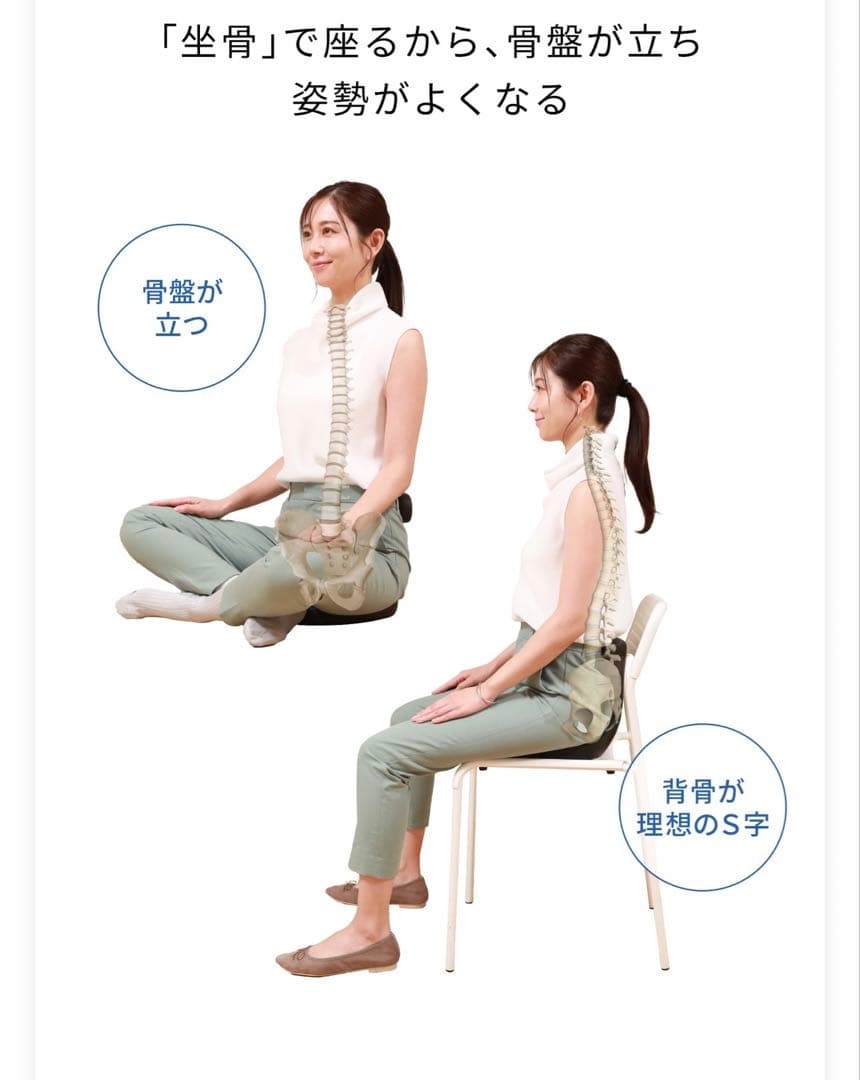 アーユルチェアー ayur-chair (座イス＆座面シートタイプ)