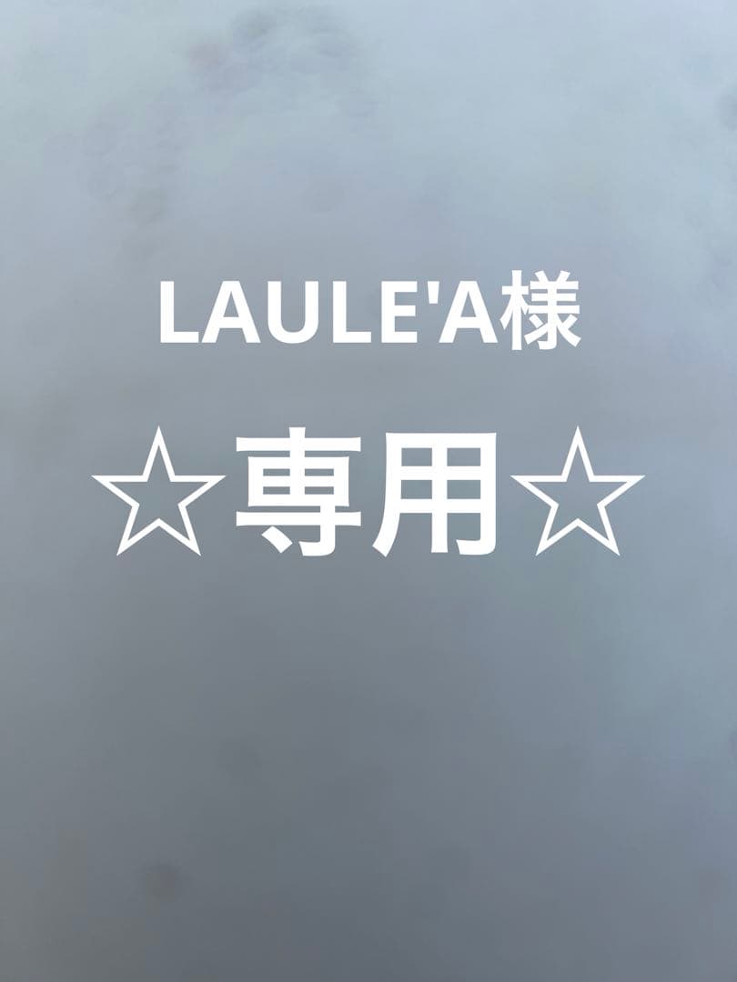 アダプトラテ マッシュルームコーヒー✖️2袋スターターセット専用です♪