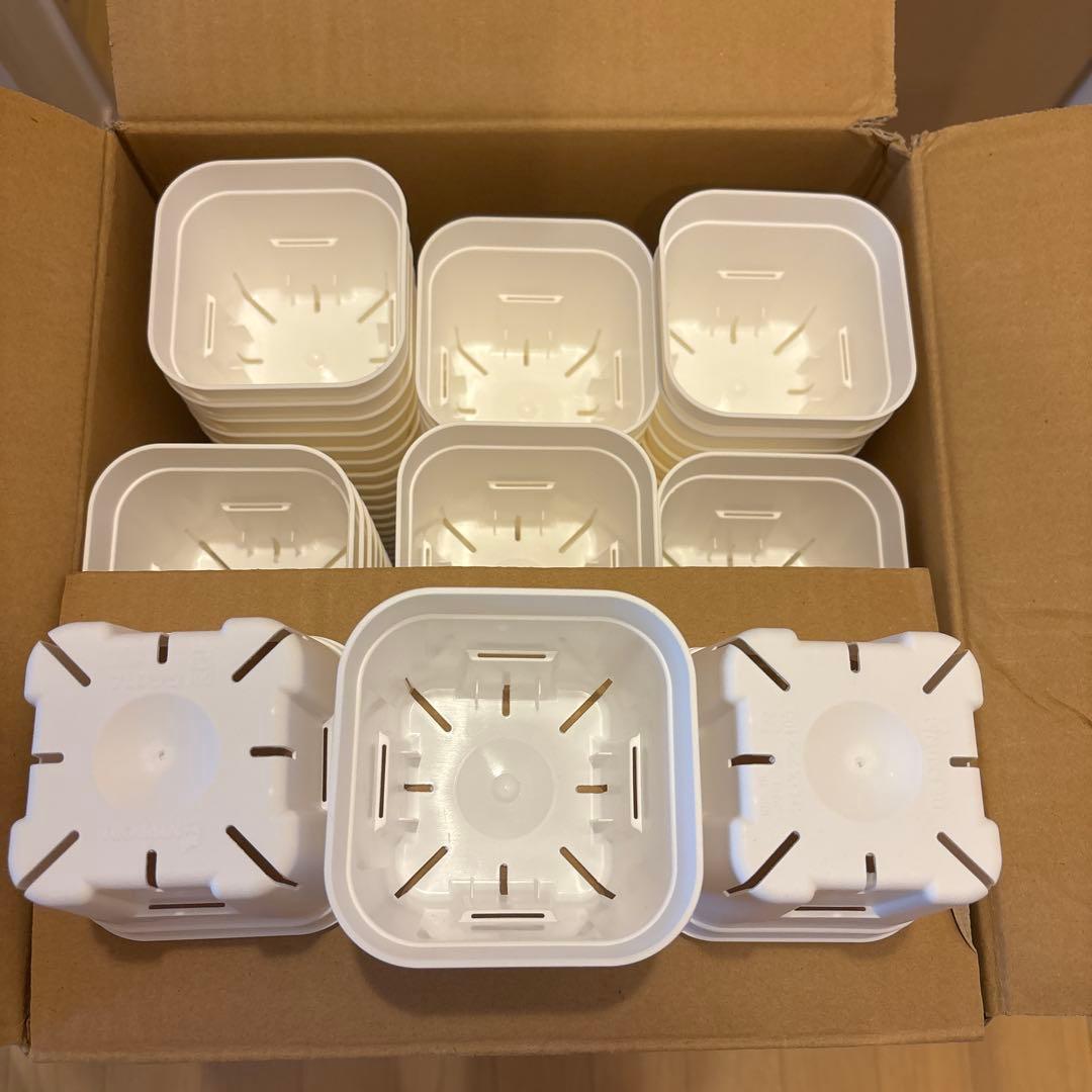 プレステラ ポット 鉢 ポリ鉢スリット鉢　105型　ホワイト　多肉　200個入り