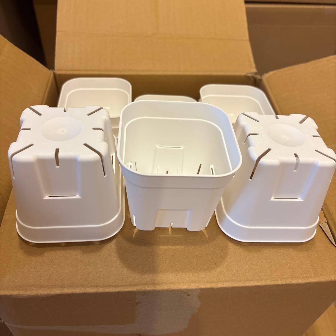 プレステラ ポット 鉢 ポリ鉢スリット鉢　105型　ホワイト　多肉　200個入り