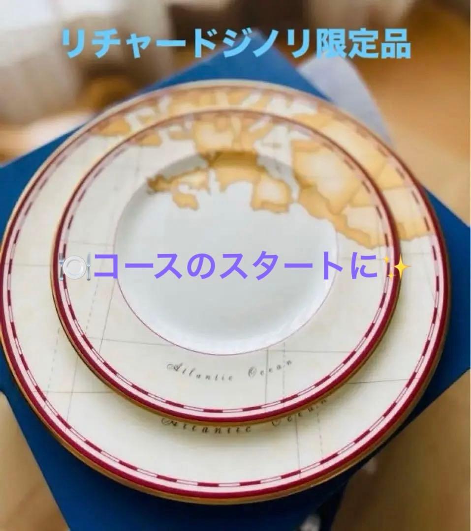 【幻の】リチャードジノリ プリマクラッセ限定プレート12枚フルセット　お値下げ！