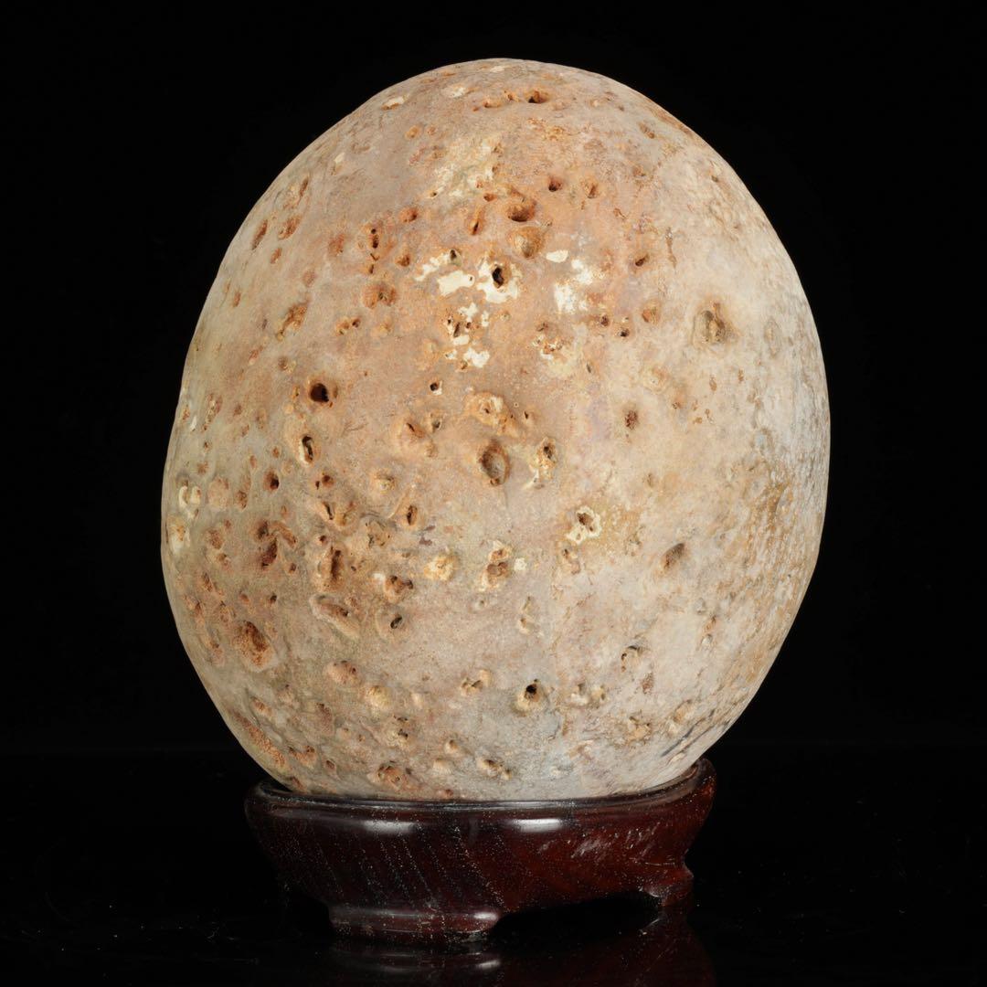 大型 多孔質 景石 火山岩系 5.8kg 台座付 自然石 鑑賞石 盆石 盆景