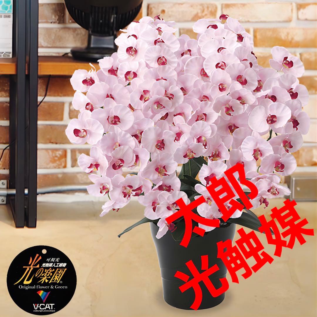 光触媒　人工観葉植物　フェイクグリーン　プレミアム胡蝶蘭7本立P