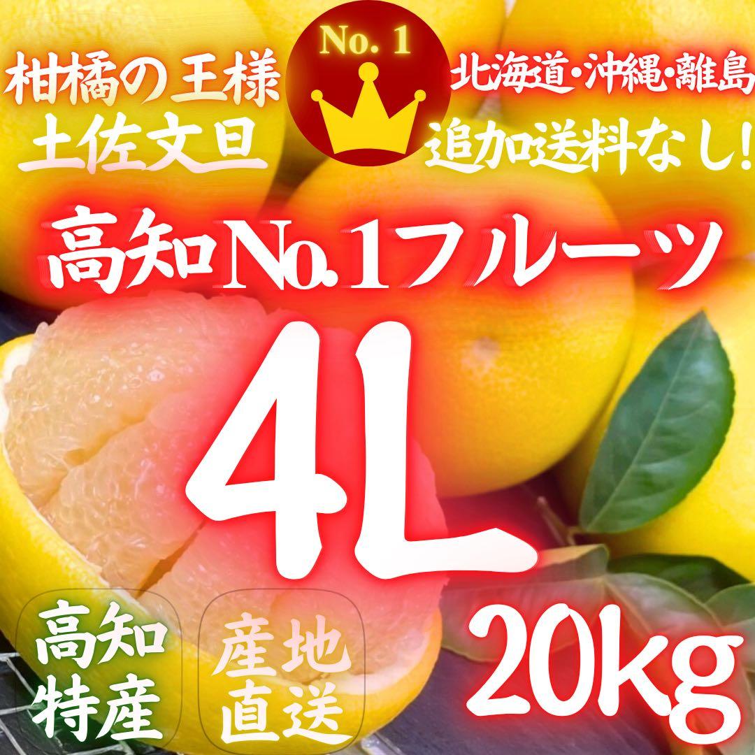 ㉜高知特産 露地栽培 土佐文旦 4L限定 文旦 約20kg 大玉 サイズ