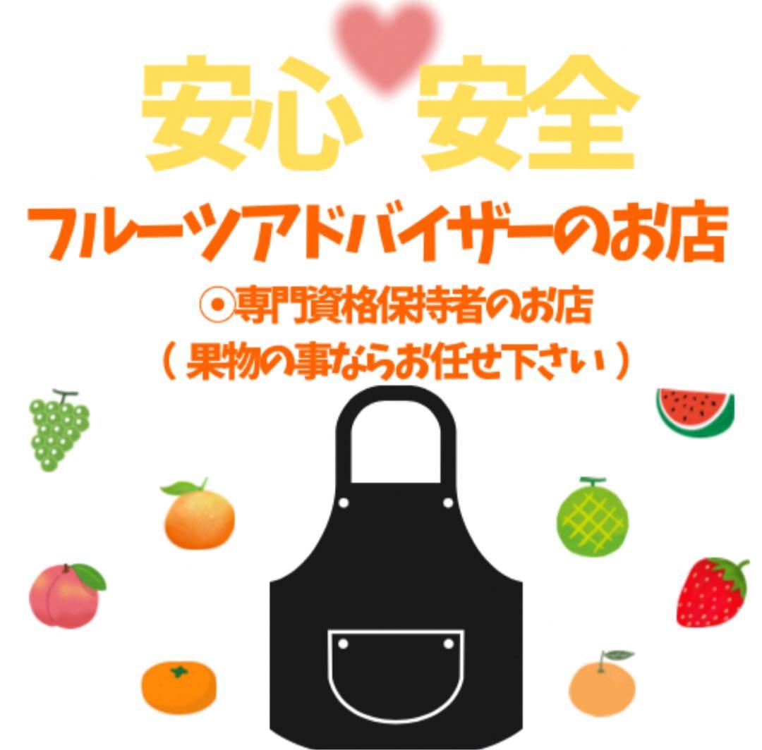 ㉜高知特産 露地栽培 土佐文旦 4L限定 文旦 約20kg 大玉 サイズ
