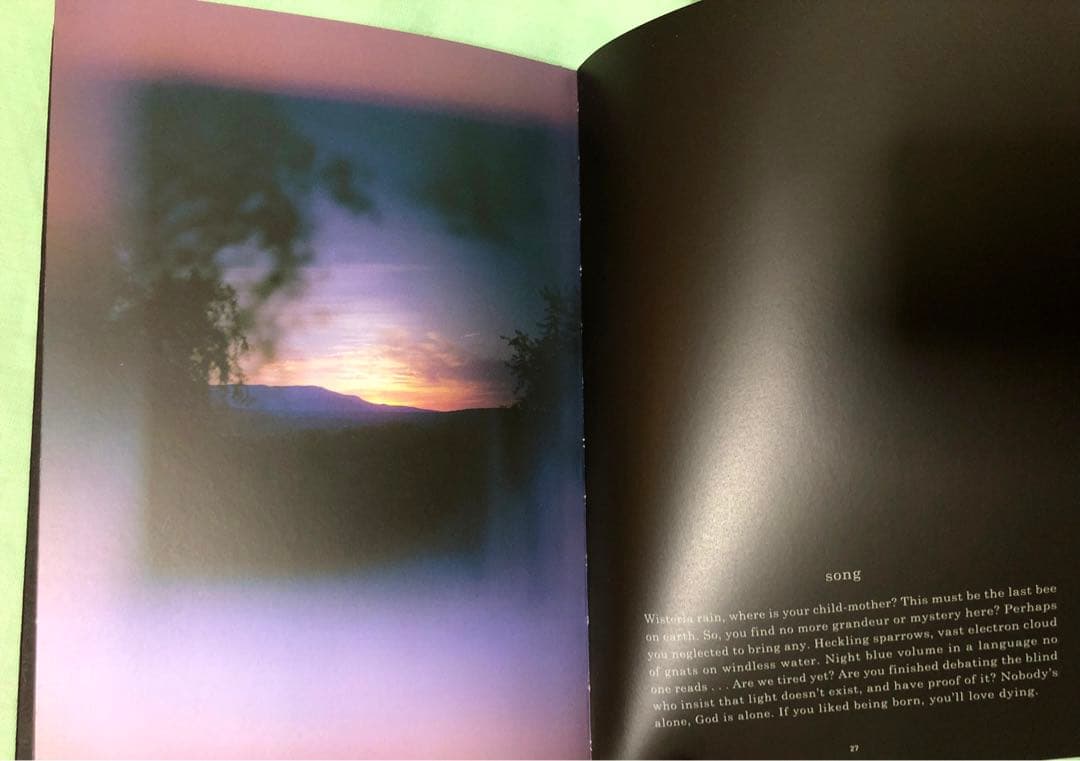 【希少限定盤CD】デヴィッド・シルヴィアン　いくつかの家に射し込む光