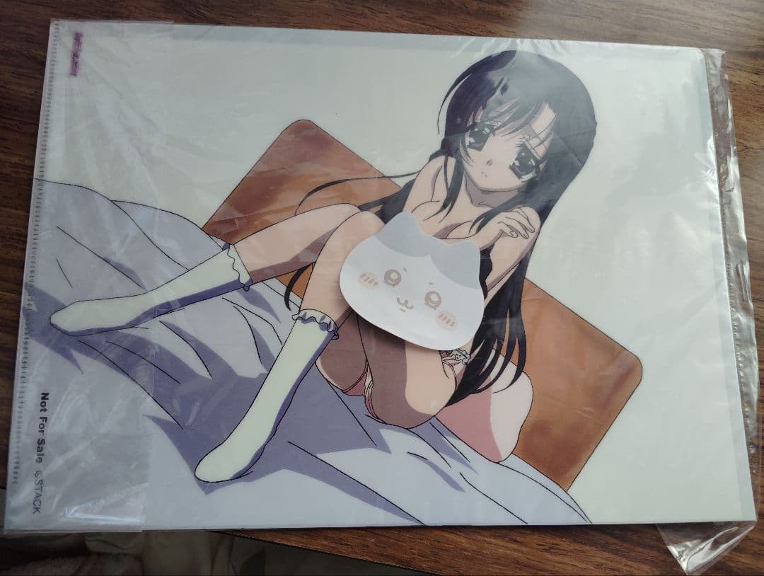 正規品　桂言葉　クリアファイル not for sale　SchoolDays