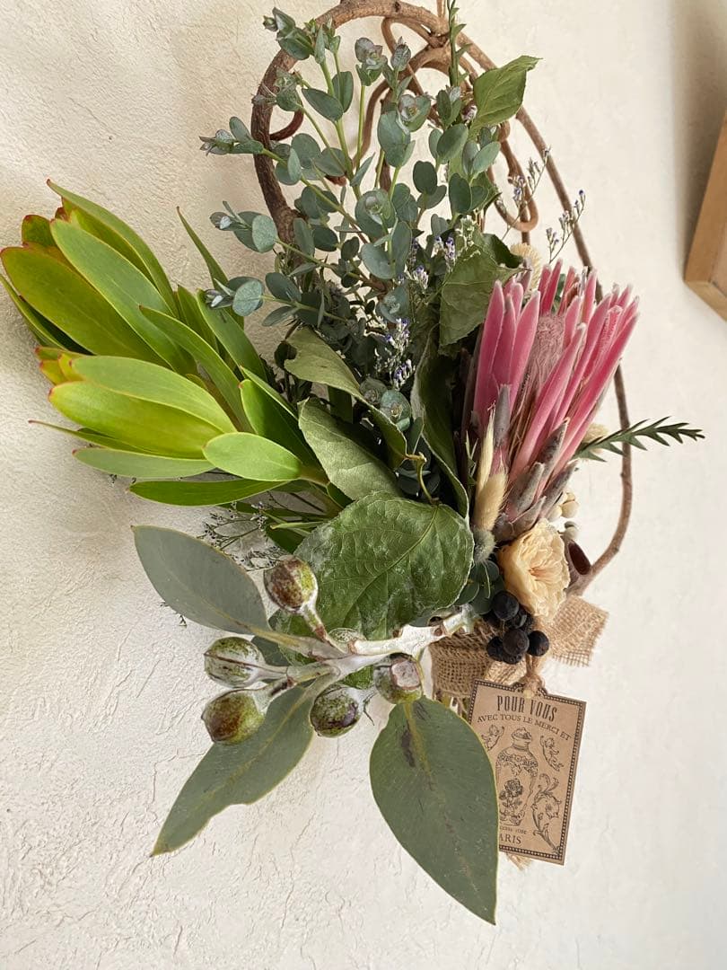 sold プロテアリース