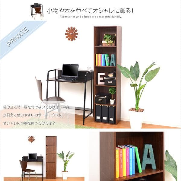 扉付 縦長 大容量 カラーボックス 用途様々収納 ナチュラル