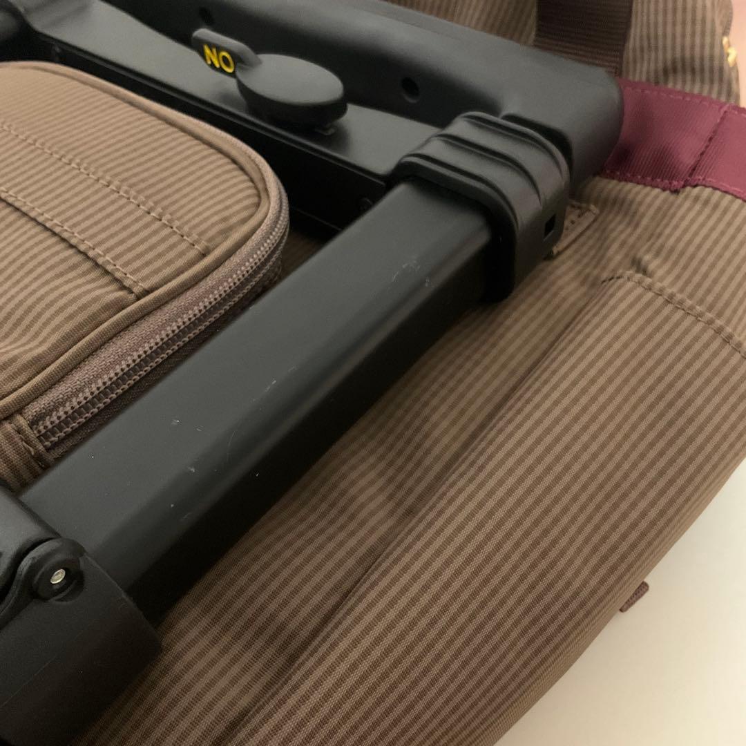 スワニー♡リボン キャリーバッグ