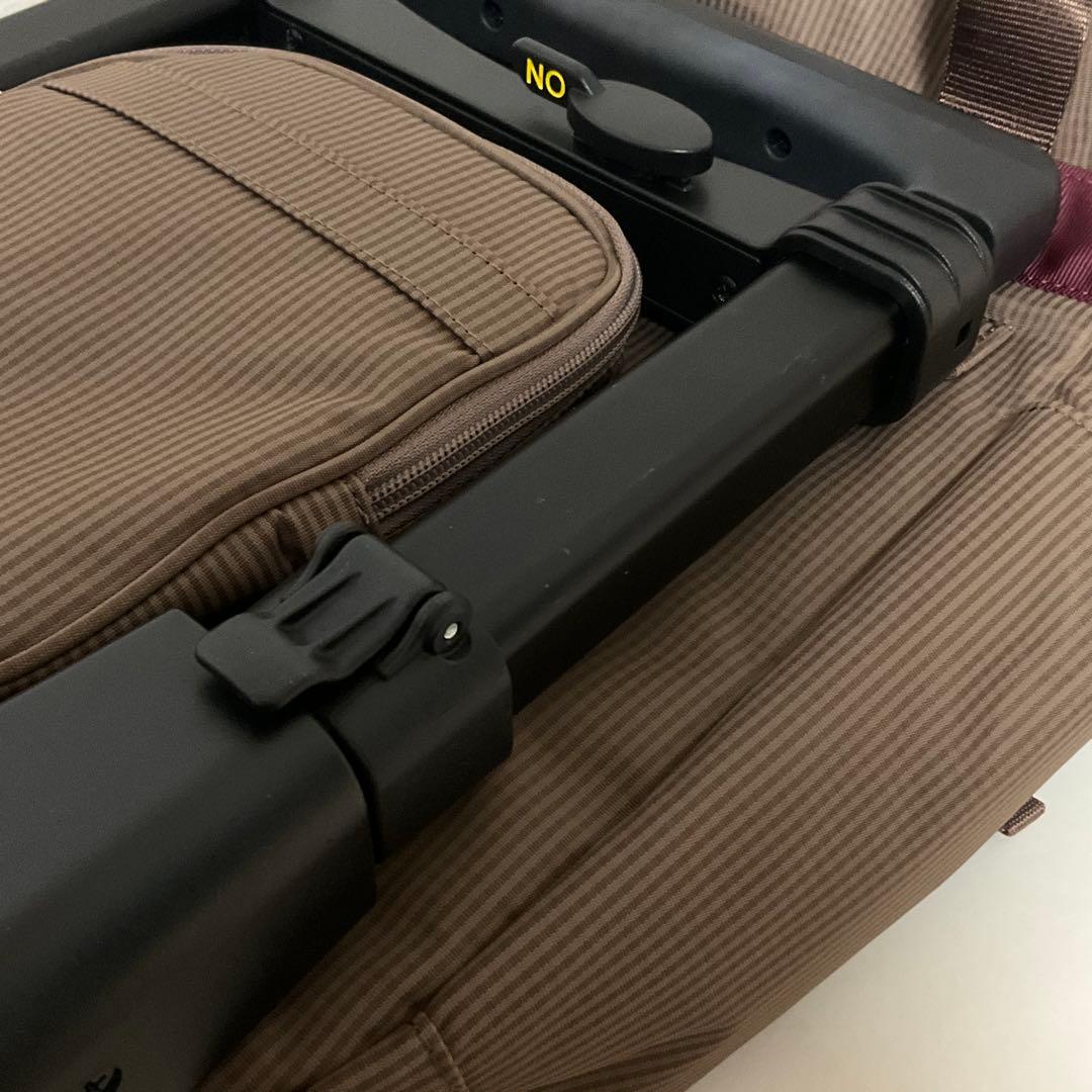 スワニー♡リボン キャリーバッグ