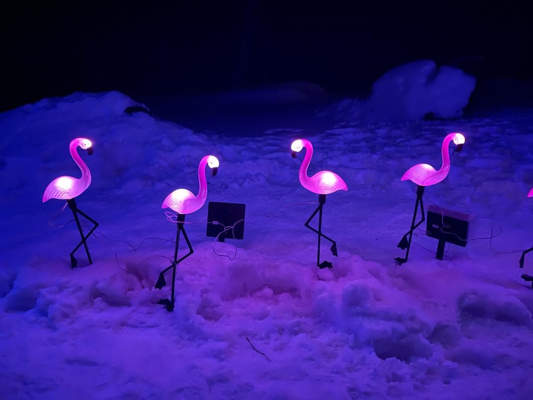 三つセット ソーラー IP65防水 LED 取付簡単 フラミンゴガーデンライト