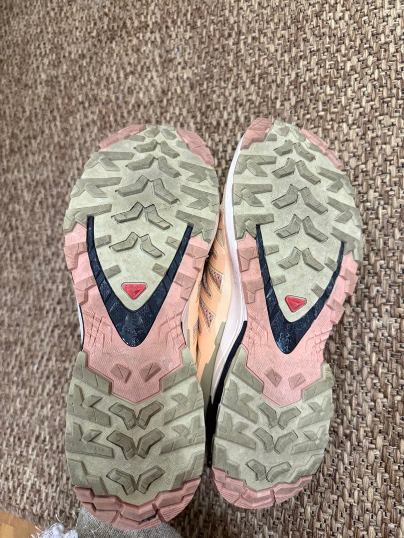 リ*サ様 SALOMON XA PRO 3D V9 24センチ