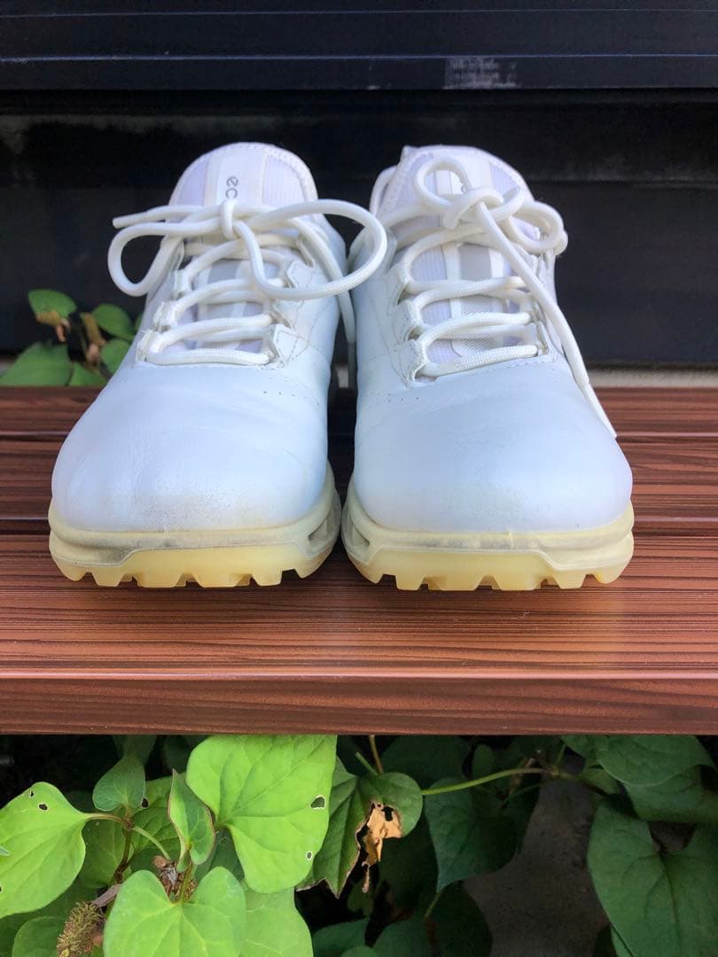372番 美品ECCOゴルフシューズ 37 23.5cmスパイクレスゴアテックス