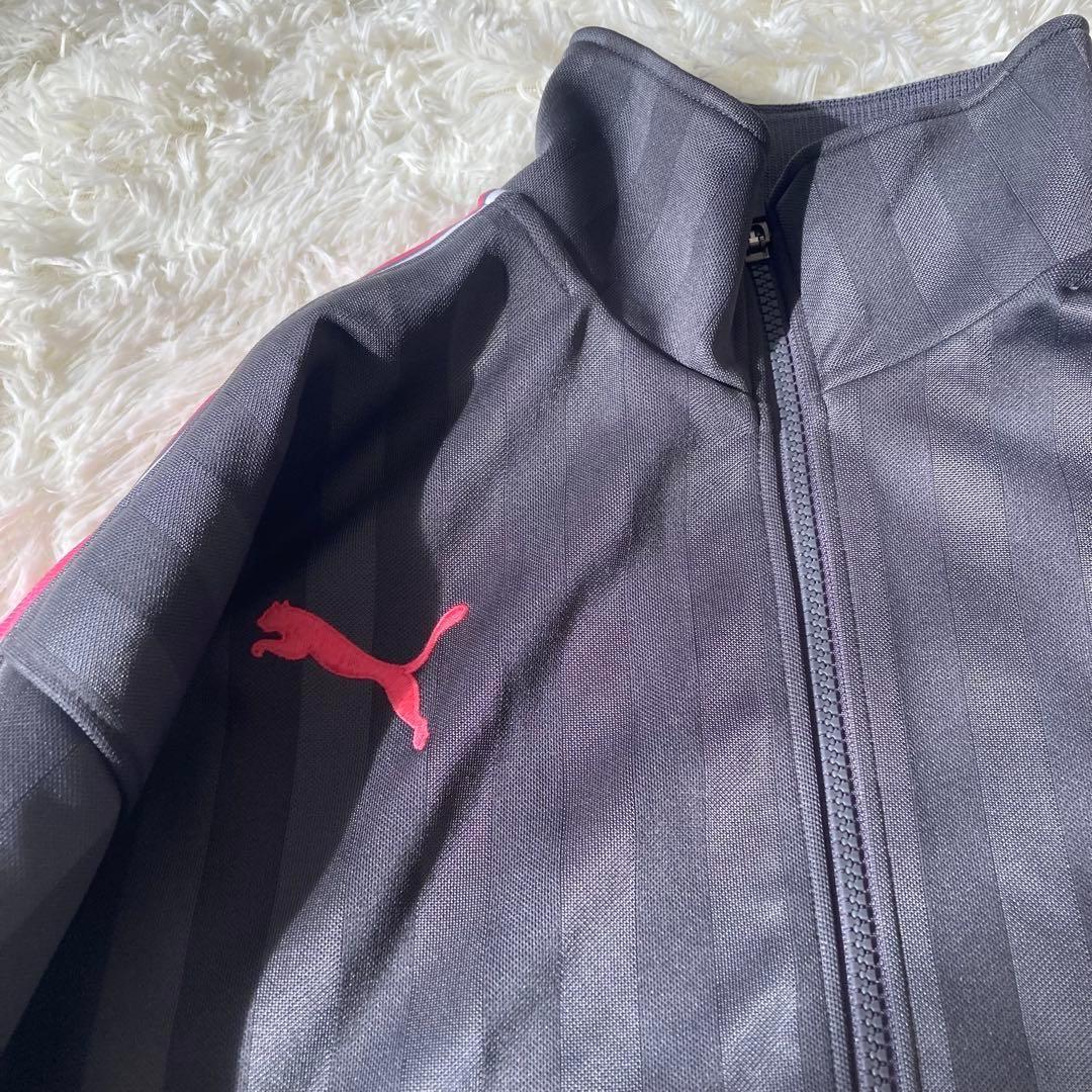 PUMA プージャ　ジャージ上下セット グレー　ピンク　 大きいサイズ