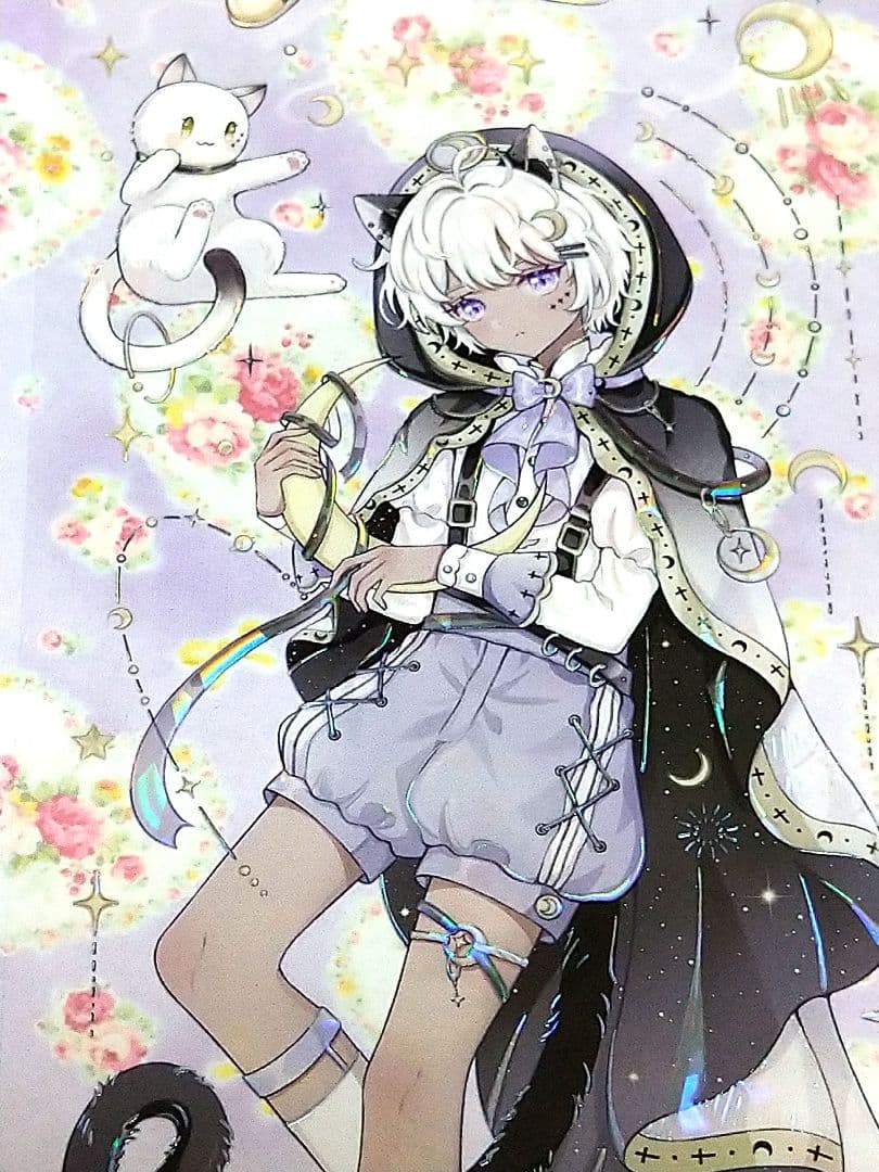 J1002＃梅吉星使(贝壳光)Wines切り売り海外人物マステ男の子