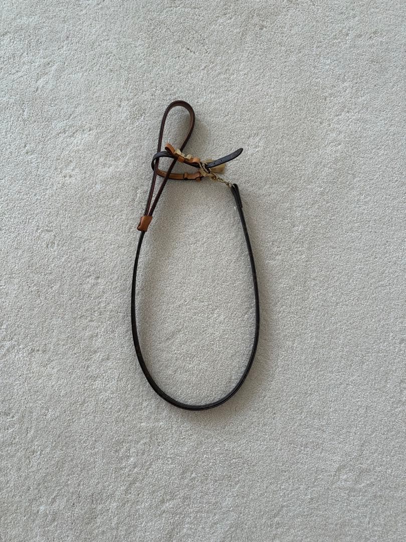 ルイ・ヴィトン　リボン付きレザー製　首輪＆リード