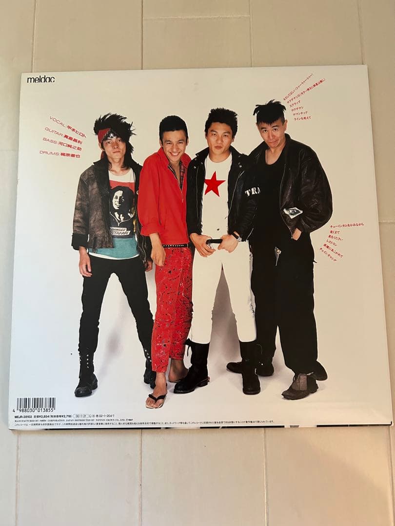 邦楽 YOUNG AND PRETTY THE BLUE HEARTS LP